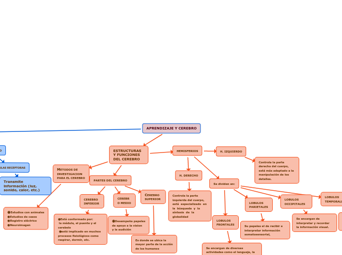 Aprendizaje Y Cerebro Mind Map